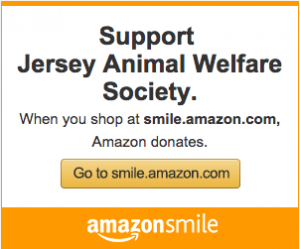 Amazon Smile for JAWS